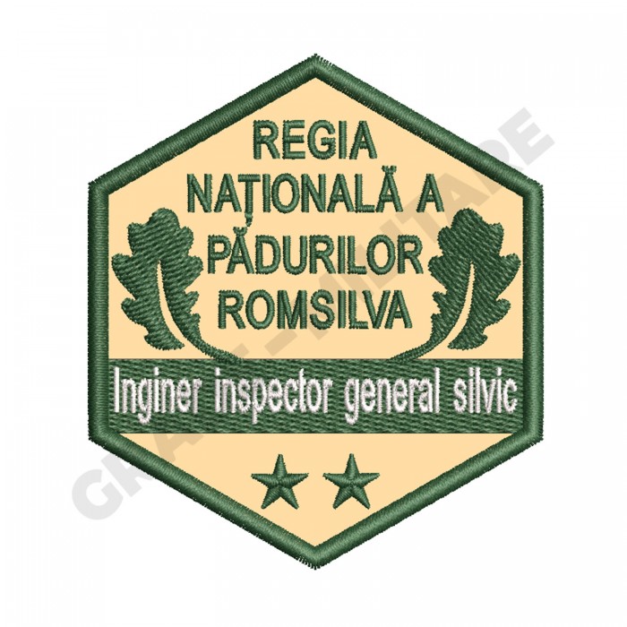 Ecuson Inginer Inspector General Silvic gradatia II