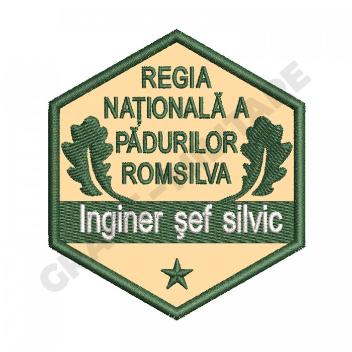 Ecuson Inginer Sef Silvic gradatia III