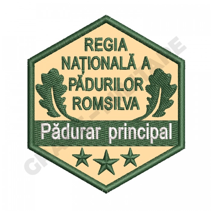 Ecuson Padurar Principal gradatia I