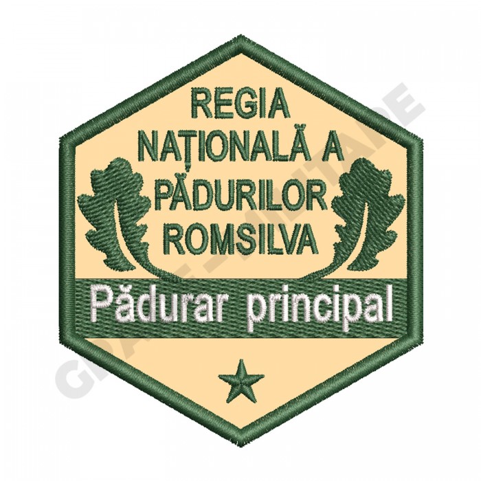 Ecuson Padurar Principal gradatia III