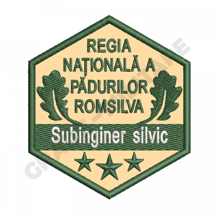 Ecuson Subinginer Silvic gradatia I