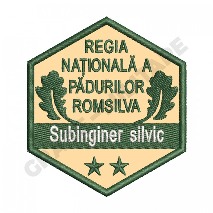 Ecuson Subinginer Silvic gradatia II