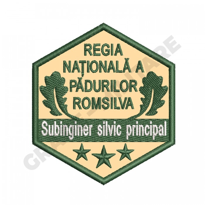 Ecuson Subinginer Silvic Principal Gradatia I