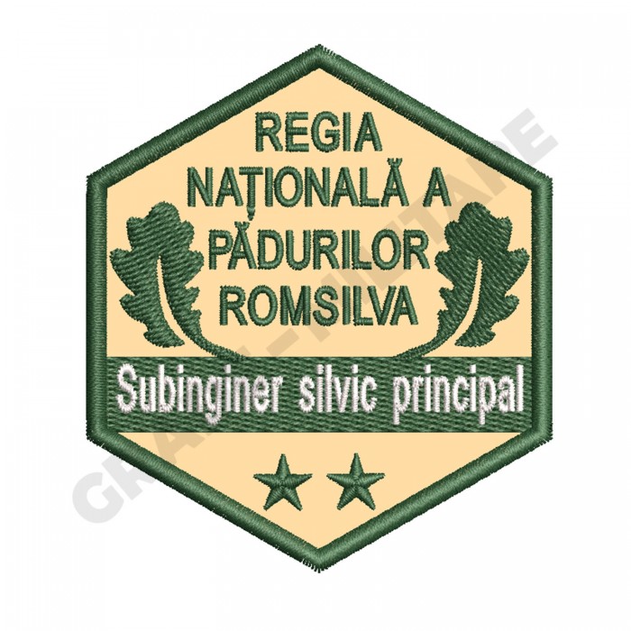 Ecuson Subinginer Silvic Principal Gradatia II 