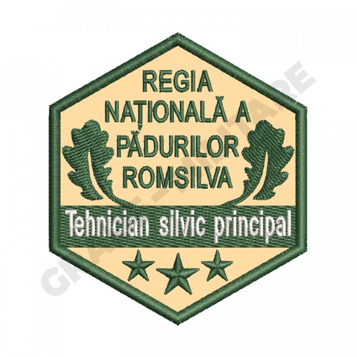 Ecuson Tehnician Silvic Principal gradatia I