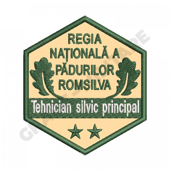 Ecuson Tehnician Silvic Principal gradatia II