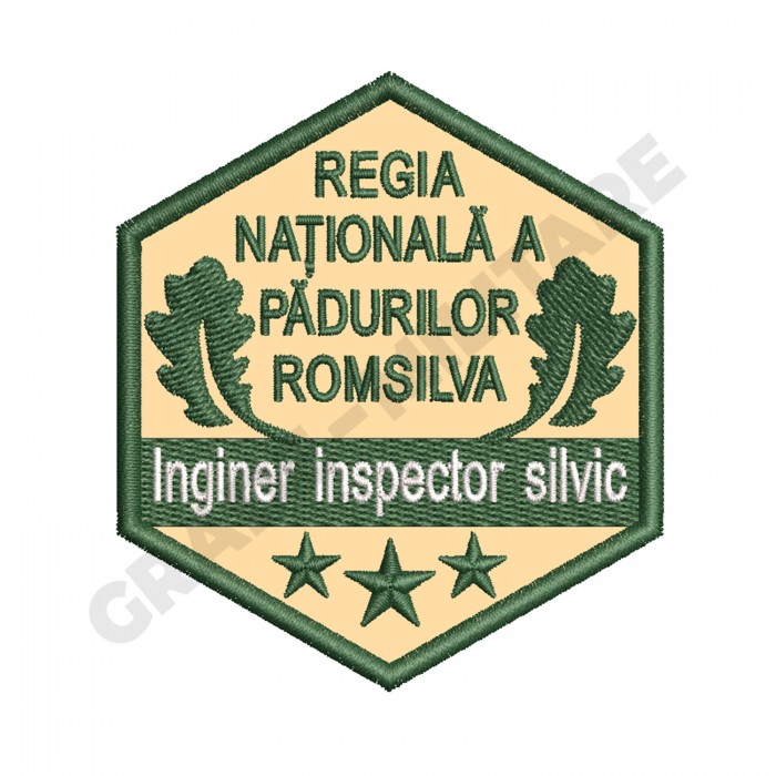 Ecuson Inginer inspector silvic gradatia I