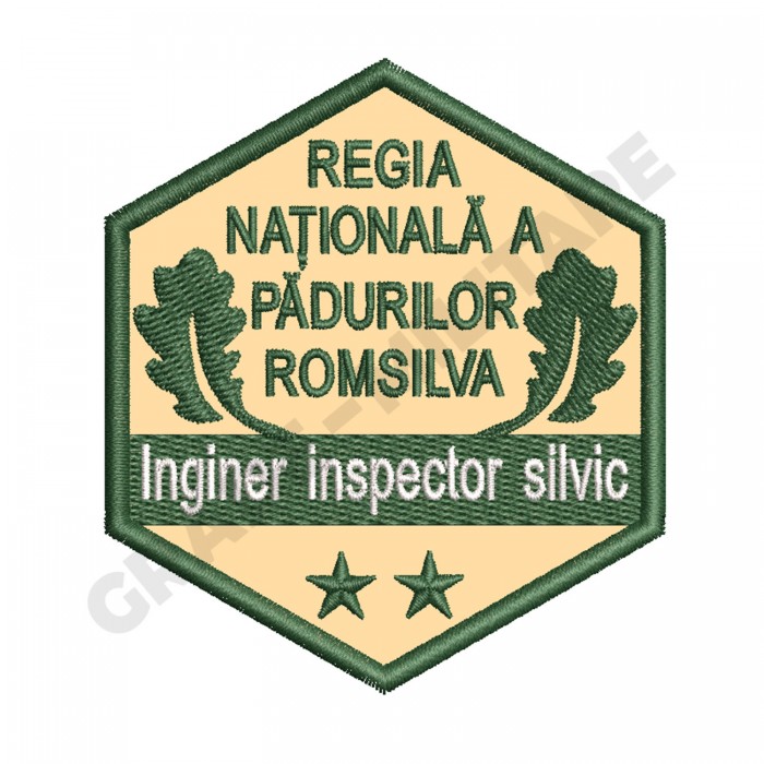 Ecuson Inginer inspector silvic gradatia II