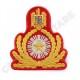 Emblema coifura general tinuta oras brodata, accesorii de uniformă militară, detalii fine pentru personal militar pe epoleti.ro