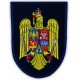 Emblema Forțe Aeriene Instrucție | Produs militar exclusiv pe Epoleti.ro