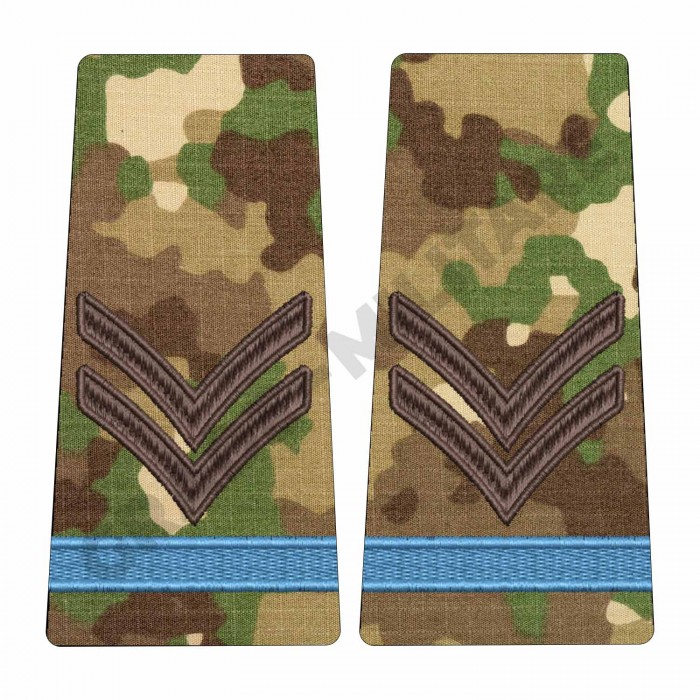 Grade Elev Caporal – Piese Uniformă Militară Brodate pentru Personal Oficial | Epoleti.ro