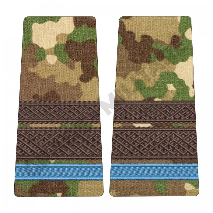 Grade Elev Sergent Major Forțe Terestre – Piese Uniformă Militară Brodate pentru Personal Oficial | Epoleti.ro