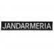 Emblema cu text "JANDARMERIA"